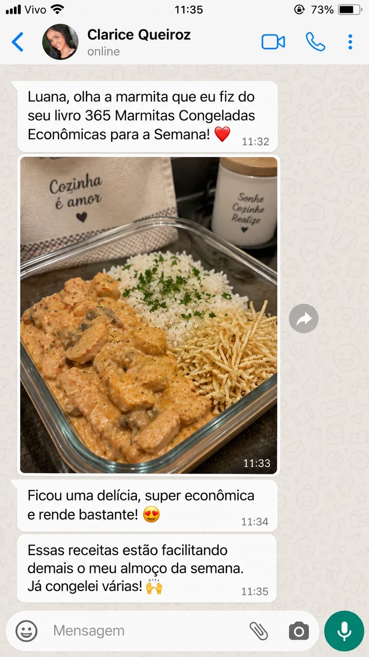 Conversa de Clarice Queiroz sobre marmitas congeladas