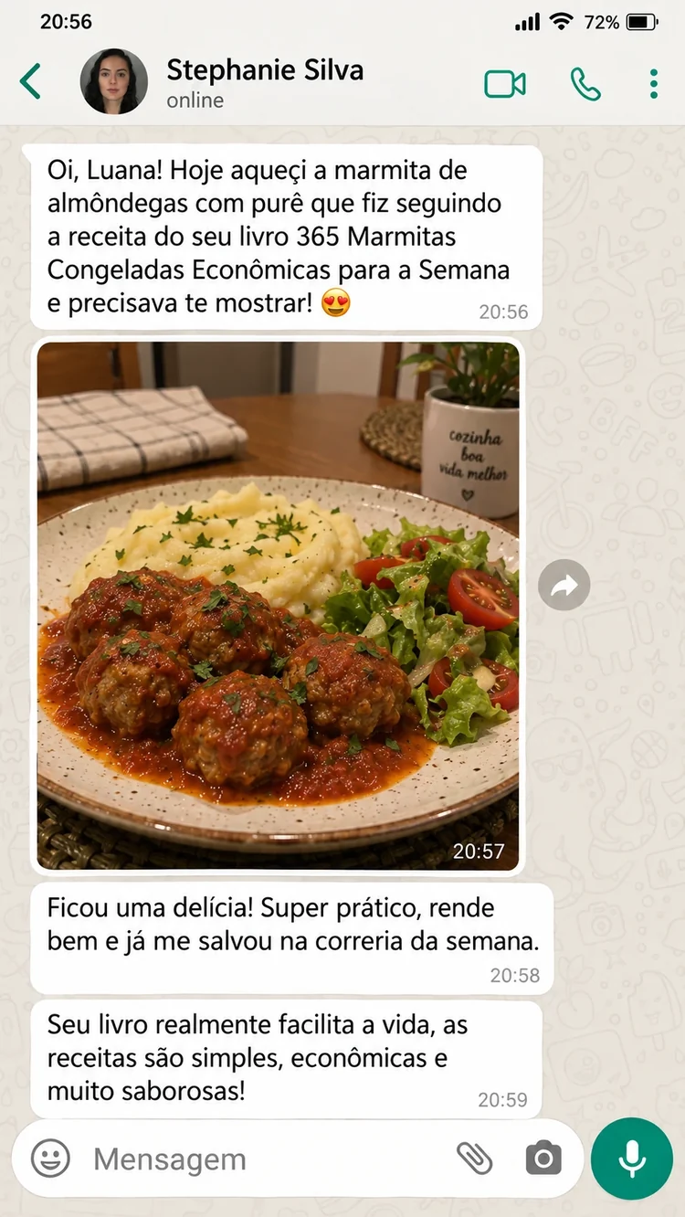 Conversa de Stephanie Silva sobre marmitas congeladas